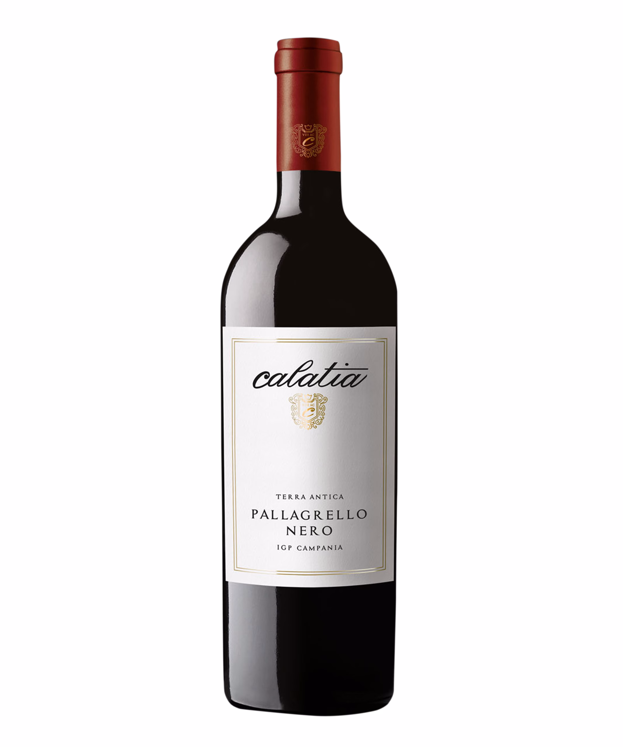 CALATIA NERO